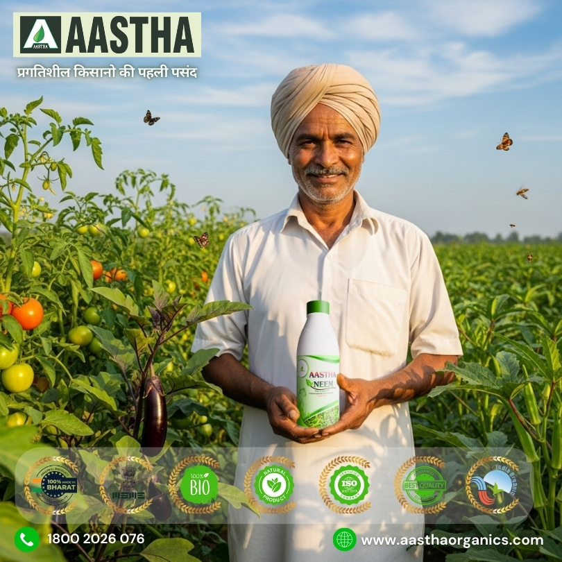 Neem Oil vs. Chemical Pesticides: Which is Better?